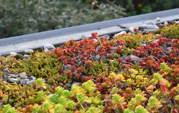 the cost of Ellonby green roof installation