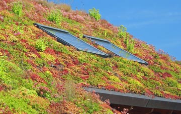Ellonby living roof systems