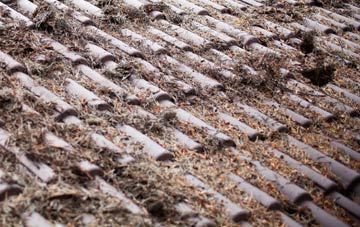 Ellonby roof cleaning companies